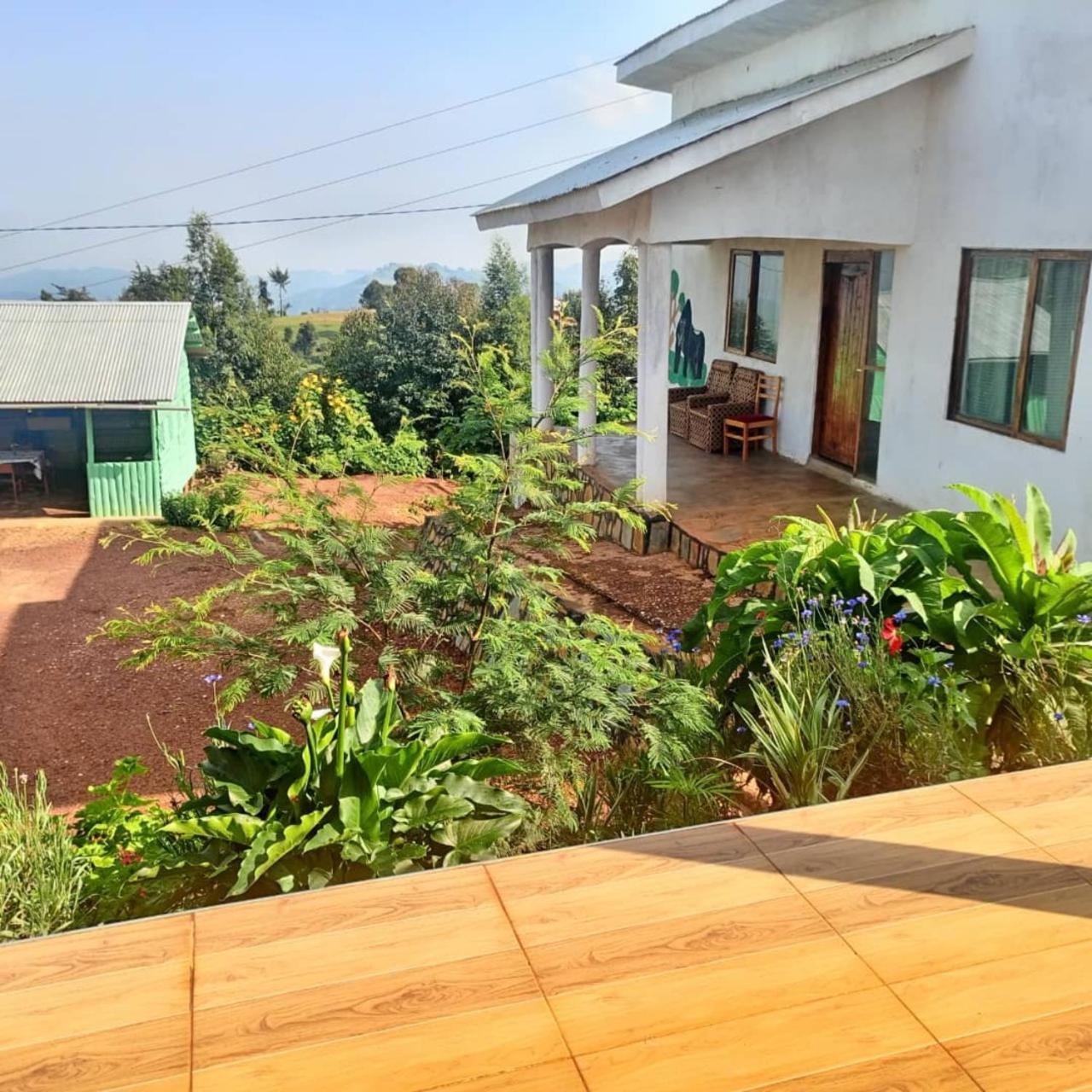 Ruhija Gorilla Guest House Kabale Extérieur photo